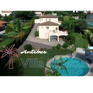 Hibiscus Antibes